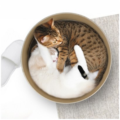 모던캣 노르딕 서클 고양이 스크래쳐