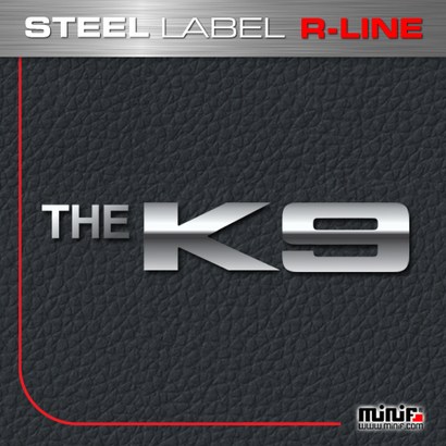 더K9 R라인스틸 주차번판 FS119- THE K9 STEE R-INE