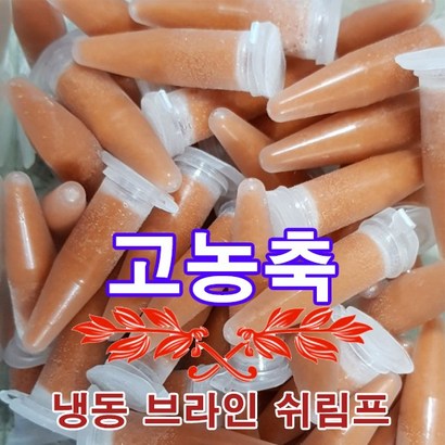 러브아쿠아 냉동 브라인 쉬림프 캡슐 30개입 사료