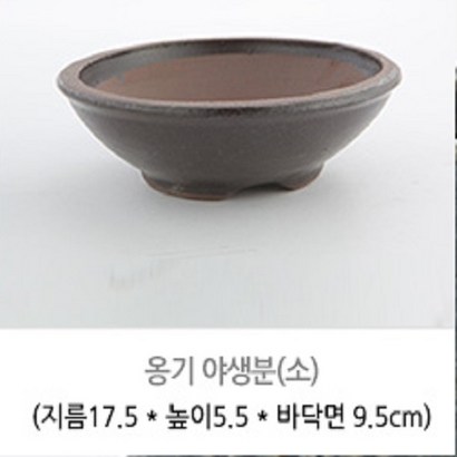 옹기화분