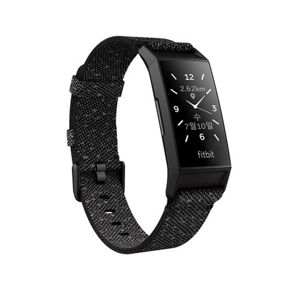 핏빗 차지4 스페셜에디션 스마트밴드 + 클래식 밴드 블랙, Granite Black, FB417