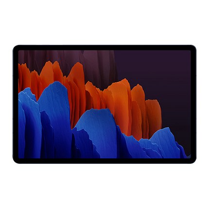 삼성전자 갤럭시탭 S7 플러스 LTE WIFI 512GB 태블릿PC, SM-T975N, 미스틱네이비