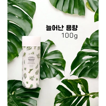 팝스풋 파우더 100g 발냄새제거제 신발냄새제거제 탈취, 1개, 1개입