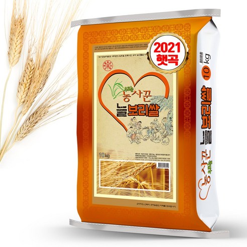 농사꾼 늘보리쌀 2023년산 국산 햇보리 늘보리 리뷰후기
