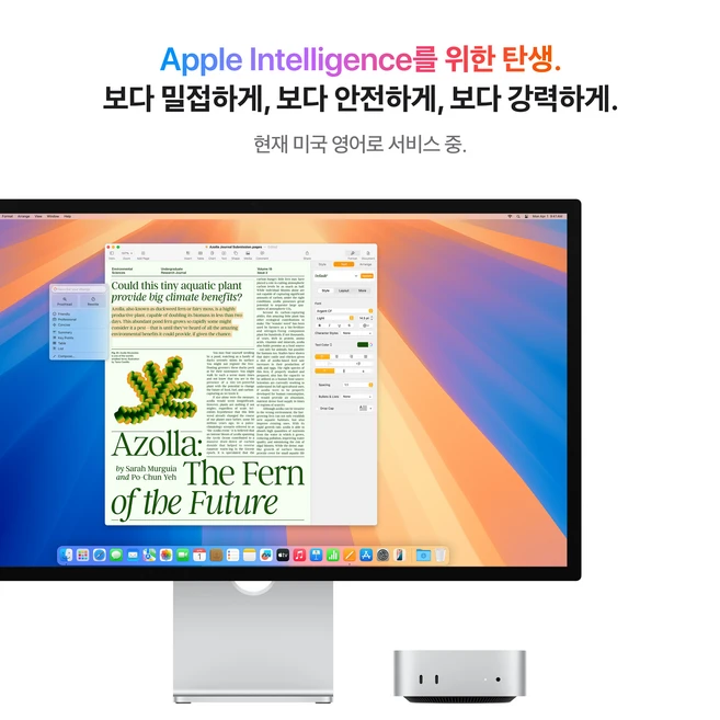 Apple 2024 맥 미니 M4, M4 10코어, 24GB, 256GB