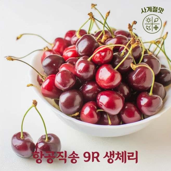 사계절맛 달콤함을 가득 담은 항공직송 9R 특대 프리미엄 생체리, 1개, 500g