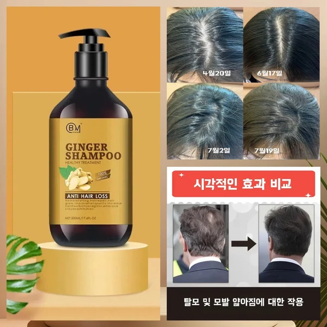 생강 식물성 탈모샴푸 두피케어 비듬완화 천연 영양 기능성 샴푸, 1개, 500ml