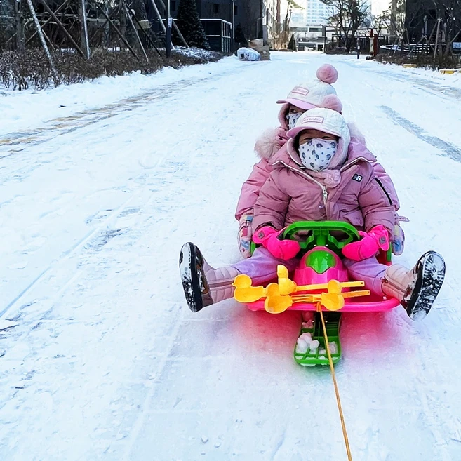 자유창구백화점 등받이 핸들 눈썰매 어린이 유아 단독KC인증, 레드, 1개