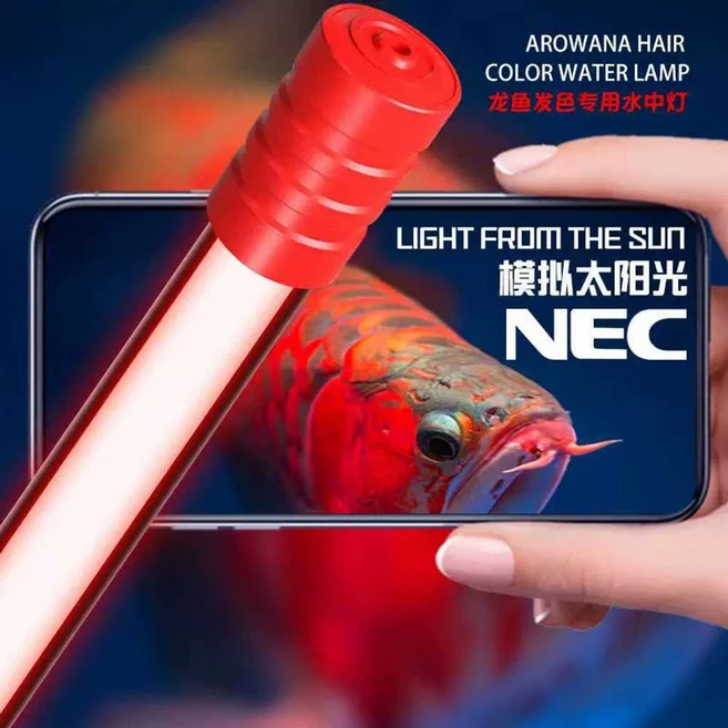 수조 태닝등 수족관 상품 금용 발색 용어 디스커스 홍용 태닝 특수등 빨간, 1개