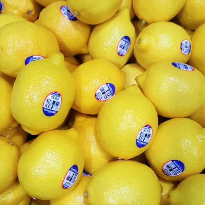 썬키스트 팬시레몬 50과, 50개, 100g 내외(s)