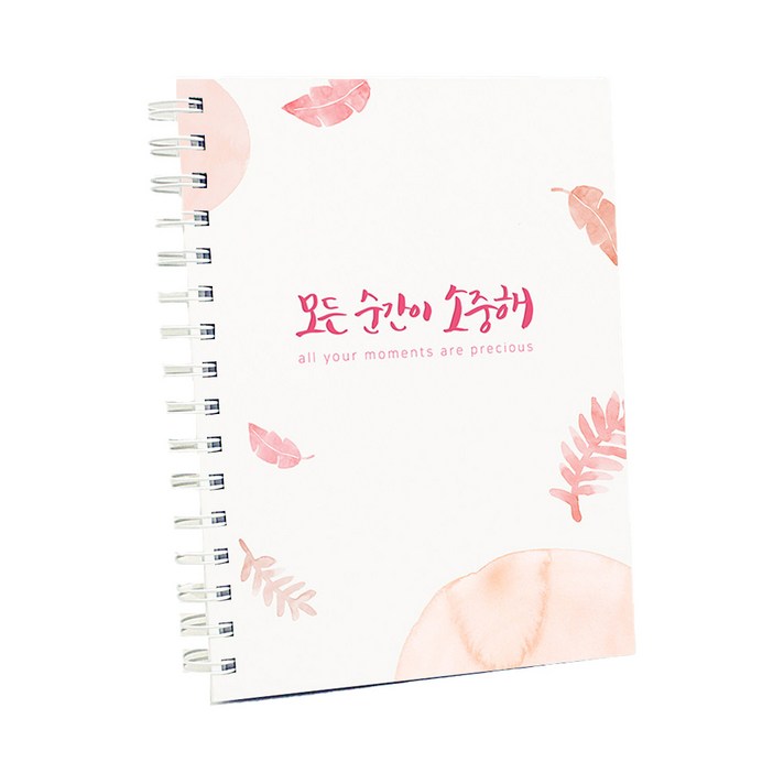 크리스킨드 감성 육아다이어리, 소중한 순간, 1개