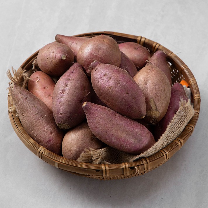 국내산 햇 호박고구마, 1.5kg, 1개