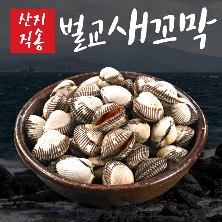 제철 꼬막 벌교꼬막 새꼬막 벌교새꼬막 꼬막장 생꼬막 산지직송 1kg 2kg 3kg, 새꼬막 3kg