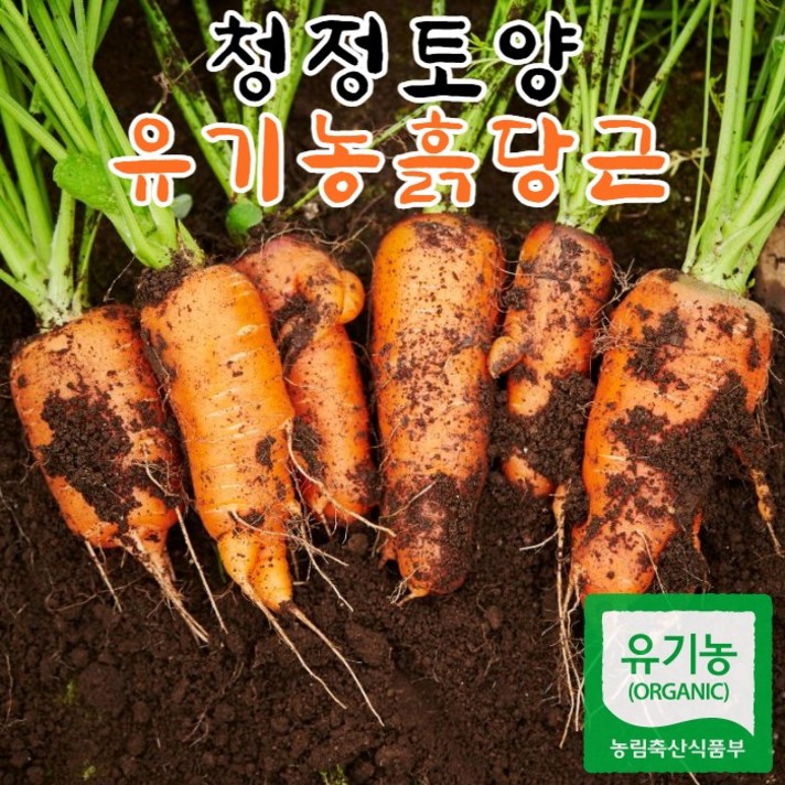 맛집사 유기농 당근 무농약 흙당근 친환경 국내산 햇당근 쥬스용 업소용당근 가정용당근 3kg 6kg 10kg