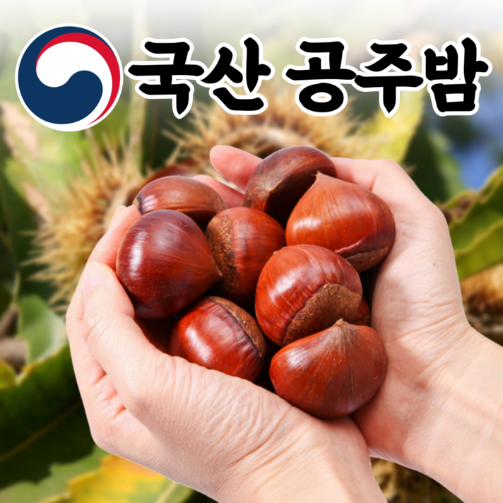 국산 약단밤 공주 정안 옥광 밤 알밤 약밤 햇밤 1kg 2kg 4kg, 1.특대 사이즈 1kg