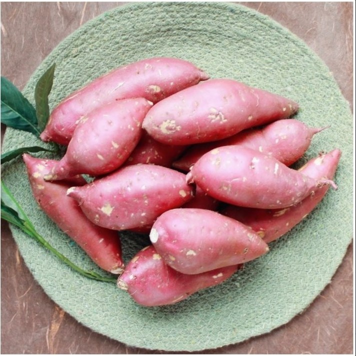 해남고구마생산자협회 밤고구마, 1박스, 밤고구마 10kg 중(50g~100g)