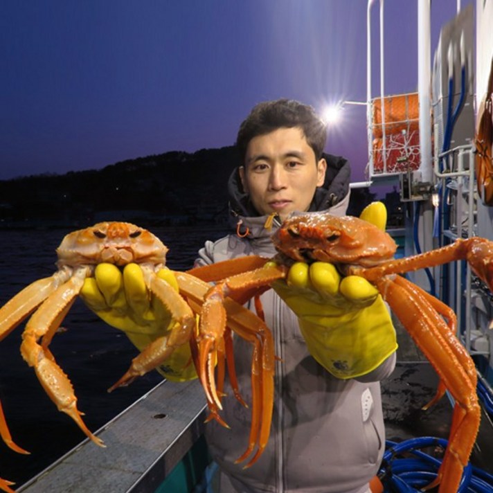 잇수산 도매가 싱싱한 산지직송 속초 홍게 활 생물 박달 대게 제철 시세 자숙, 홍게 일반형 (자숙) 3kg(6-12마리)