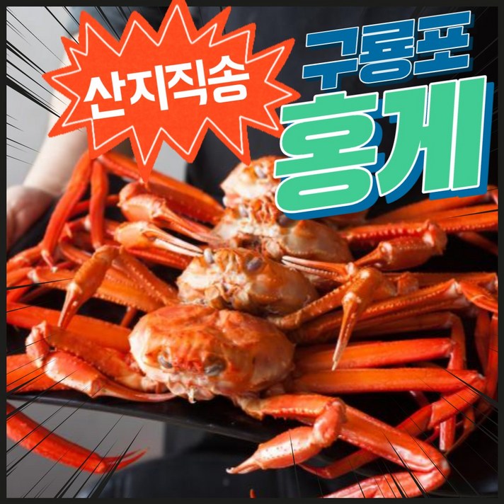 먹사부 산지직송 홍게 3kg 구룡포 연지 홍게 자숙 홍게 라면용 육수용 일반형 고급형 홍게 다리살 10~12마리 수율 택배, 1 자숙홍게 보급형