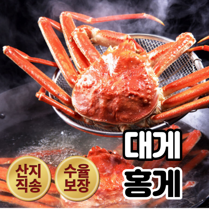 대게 홍게 영덕대게 산지직송 울진 후포리 박달대게 홍게 수율보장, 3. 박달홍게 생물, 대사이즈, 5마리