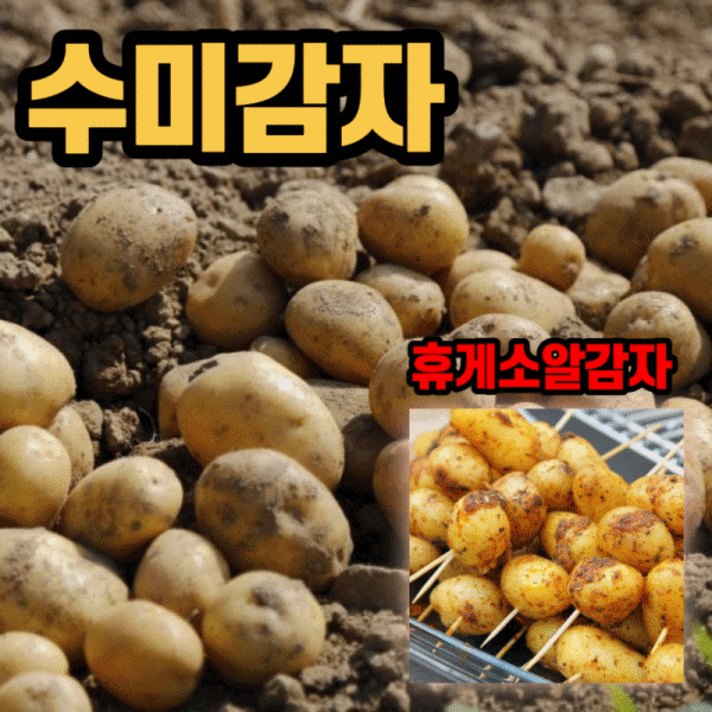 맛있는 휴게소 강원도 수미 감자 한박스 5kg 10kg 20kg 알감자 통감자 찐감자 햇감자 버터 구이 조림 용 미니