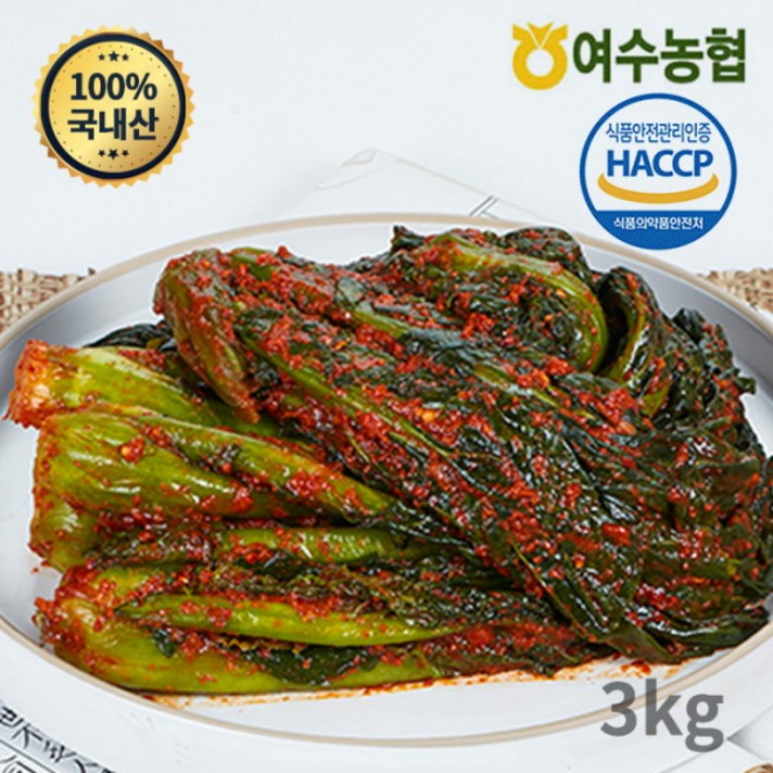 여수농협 여수돌산 갓김치 (국내산), 3kg, 1개