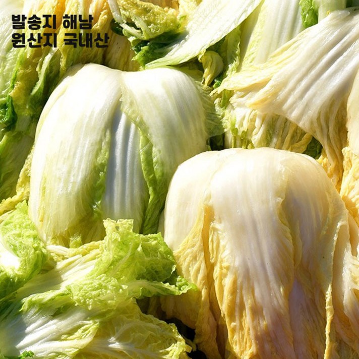 속차고 잘절인 해남 절임배추, 목요일 출고 금요일 도착, 20kg