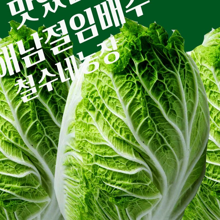 철수네농장 2021 올해 땅끝 해남 절임배추20kg 추천 절인배추 파는곳 산지 예약 주문 판매, 해남절임배추20kg, 목요일출발