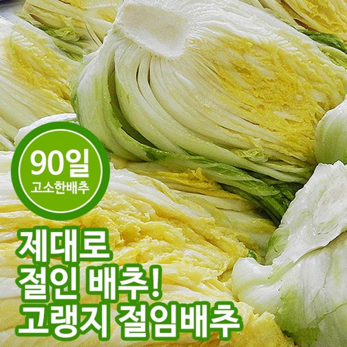 (예약배송) 강원도 고랭지 절임배추 20kg (7~10포기), 11월16일(화)도착