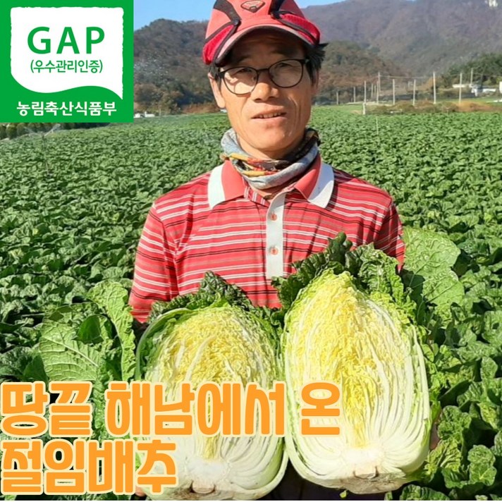GAP 땅끝마을 해남 절임배추 20KG 절인배추 김장준비 예약 햇살농장 신안천일염 사용, 11월 23일 도착