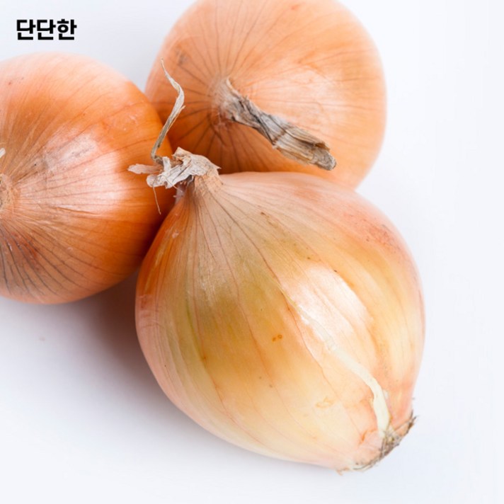 단단한 맛있는 햇양파, 햇양파 5kg 특