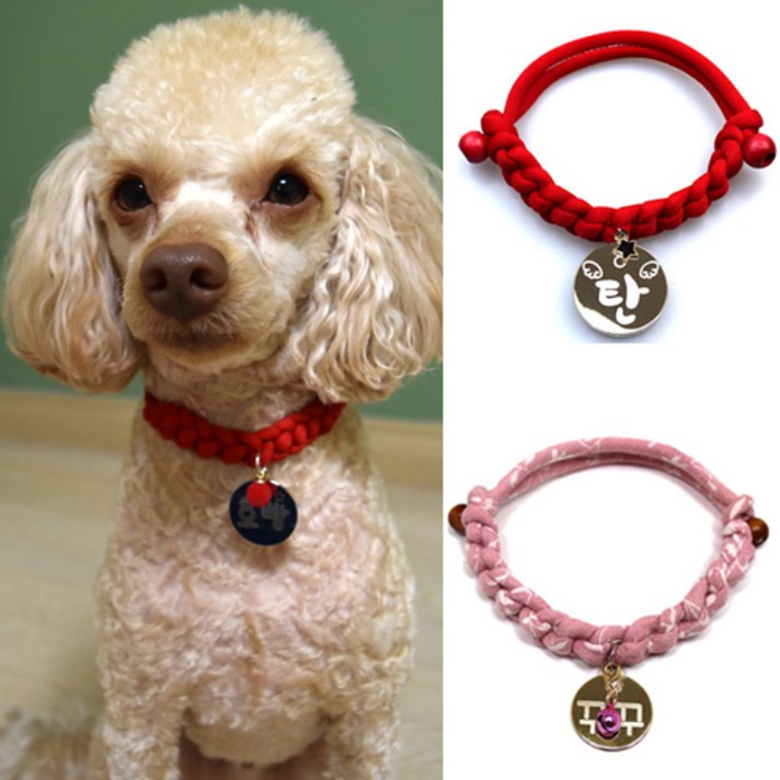 2+1펫츠룩 가볍고예쁜 강아지 고양이 인식표 목걸이, 08데일리레드, 1개