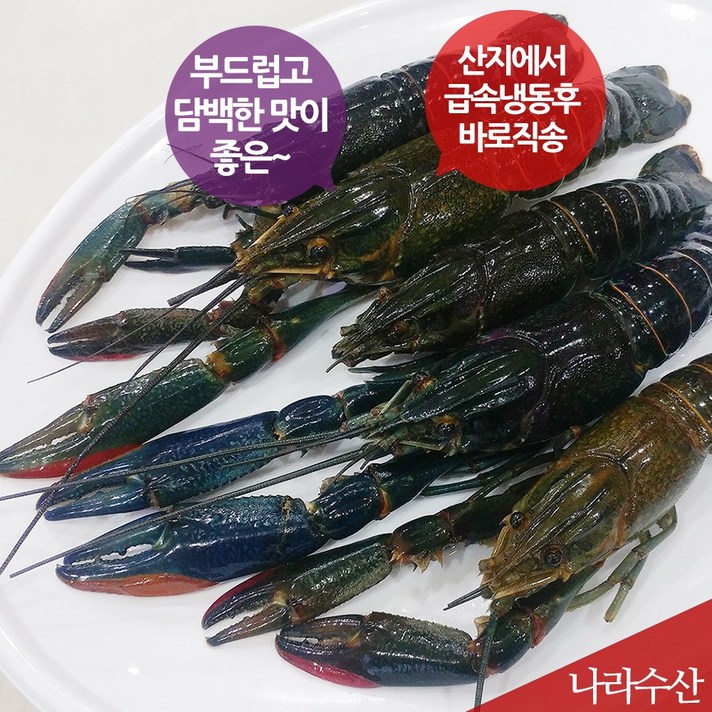 나라수산 크레이피쉬 자연산 민물가재 1kg 부드럽고 담백한맛 일품, 1팩, 03_크레이피쉬(대)(1kg)(13~15마리내외)
