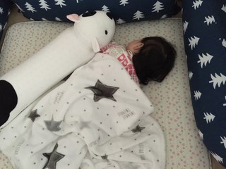 갤러리 이미지