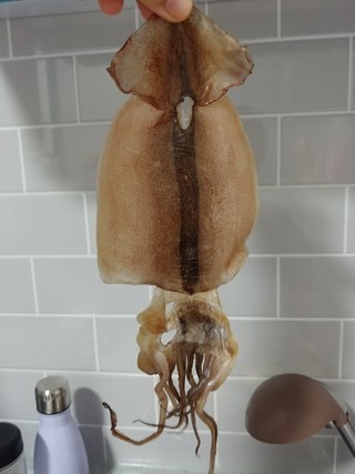 갤러리 이미지
