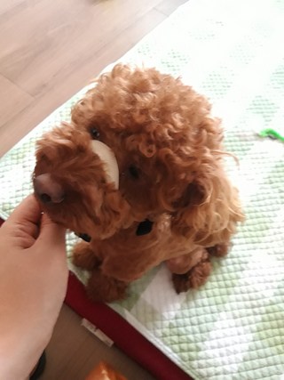 갤러리 이미지