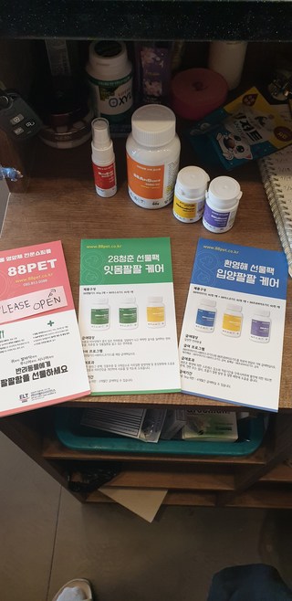 갤러리 이미지