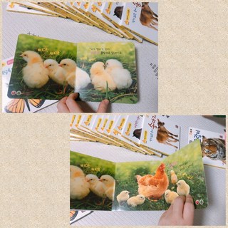 갤러리 이미지