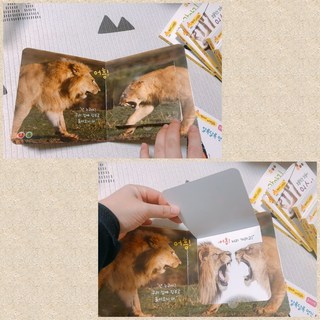 갤러리 이미지