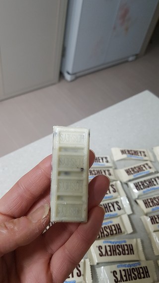 후기