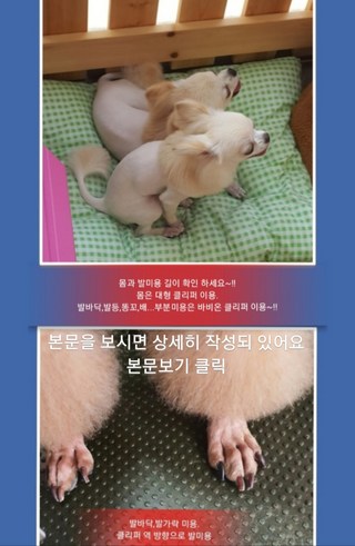 갤러리 이미지