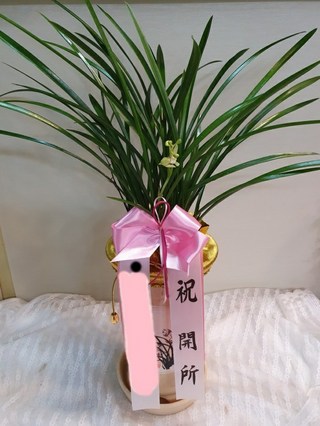 갤러리 이미지