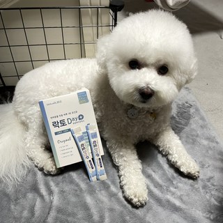 갤러리 이미지