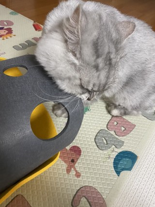 갤러리 이미지