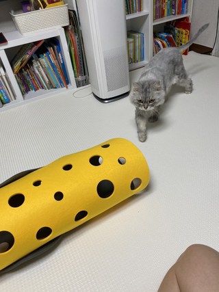 갤러리 이미지