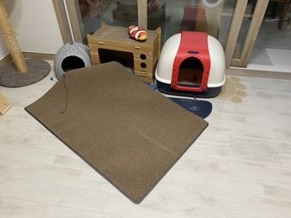후기