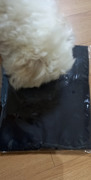 갤러리 이미지