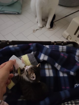 갤러리 이미지