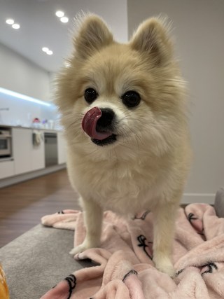 갤러리 이미지