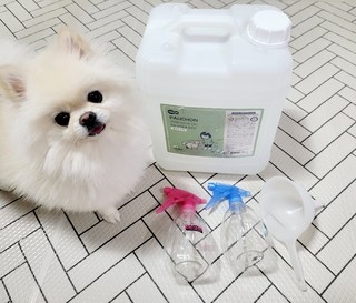 갤러리 이미지