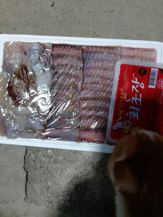 갤러리 이미지